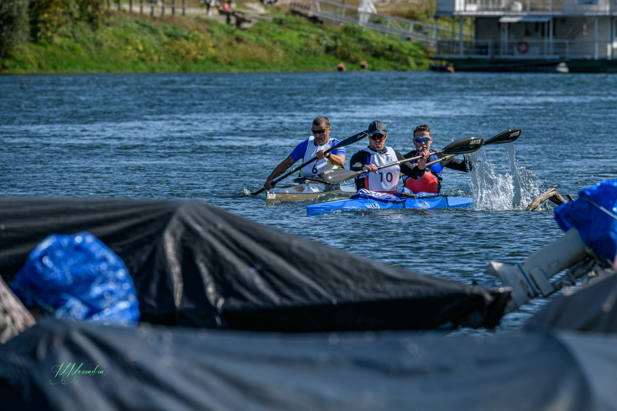 DSC 7461 (116)